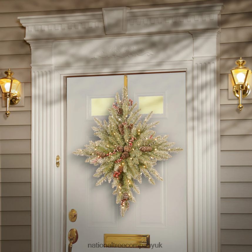 Greenery | National Tree Company 32 in Snowy Dunhill Fir Bethlehem Star with Battery Operated LED Lights F2L4F496